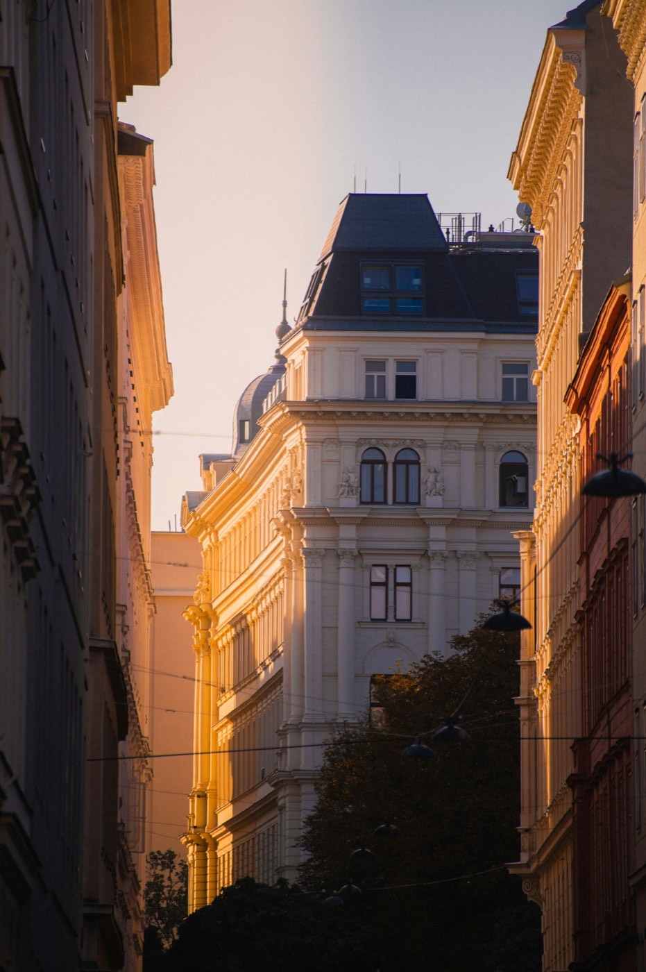 Abendlicht in einer Wiener Straße